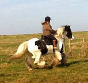 Emily & Monty cantering in Dr Cook Bitless Bridle