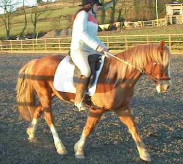 hayley doing dressage in the bitless