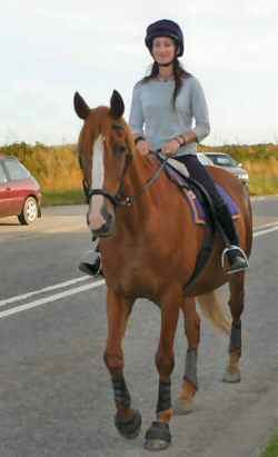 Kizzy heading for home in her new leather bitless bridle