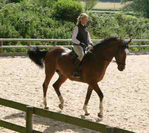 Sarah riding with Bitless Bridle